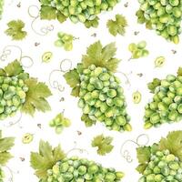 A bunch of green grapes, grape bones and leaves. Watercolor seamless pattern on white background. For fabric, packaging paper, scrapbooking, product packaging design vector