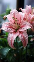 AI generated Lily pink flower blossom decoration plant wallpaper photo
