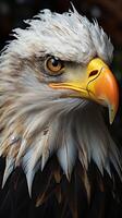 AI generated Soaring eagle animal predator mountain forest photo