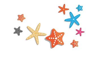 Starfish vector set in different shapes and colors. Flat vector in cartoon style isolated on whie background.
