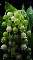 AI generated Lily of the valley white flower for fragrance and wedding bouquet photo