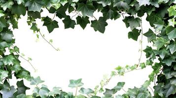 AI generated English ivy background with blank space in the middle. photo