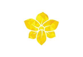 Orchid flower  logo design template vector