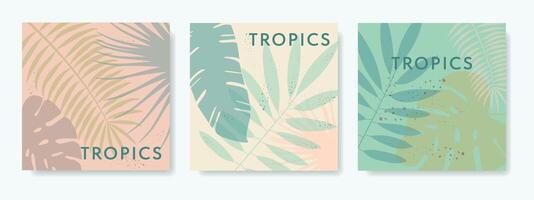 Summer square backgrounds with tropical leaves and texture. Vector templates for cards, banners, invitations, social media posts, posters, mobile apps, web advertising.