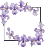 AI generated Colorful painting of Iris floral frame. png