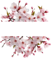 ai genererad vattenfärg målning av körsbär blomma blommig ram. png