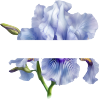 ai généré coloré La peinture de iris floral Cadre. png