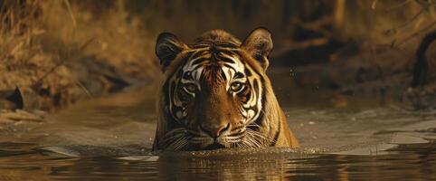 ai generado el real Bengala Tigre foto
