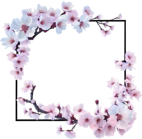 AI generated Watercolor painting of Cherry blossom Floral frame. png