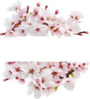 ai genererad vattenfärg målning av körsbär blomma blommig ram. png