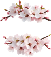 AI generated Watercolor painting of Cherry blossom Floral frame. png