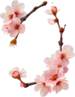 ai generato acquerello pittura di ciliegia fiorire floreale telaio. png