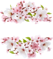 ai genererad vattenfärg målning av körsbär blomma blommig ram. png