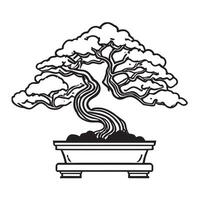 mano dibujado ilustración de bonsai árbol vector