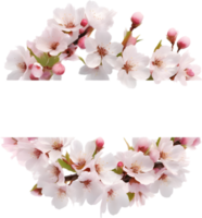 ai gegenereerd waterverf schilderij van kers bloesem bloemen kader. png