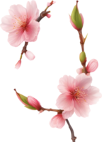 AI generated Watercolor painting of Cherry blossom Floral frame. png