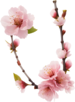 AI generated Watercolor painting of Cherry blossom Floral frame. png