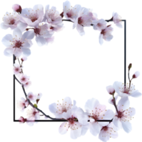 ai generiert Aquarell Gemälde von Kirsche blühen Blumen- rahmen. png