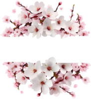 AI generated Watercolor painting of Cherry blossom Floral frame. png