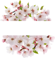 ai genererad vattenfärg målning av körsbär blomma blommig ram. png