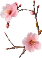 AI generated Watercolor painting of Cherry blossom Floral frame. png