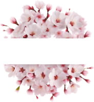 ai genererad vattenfärg målning av körsbär blomma blommig ram. png