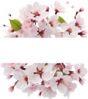 ai genererad vattenfärg målning av körsbär blomma blommig ram. png