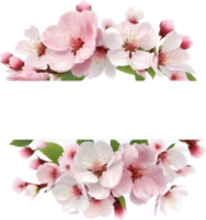 ai genererad vattenfärg målning av körsbär blomma blommig ram. png