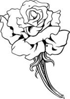 rose flower line art illustration vector