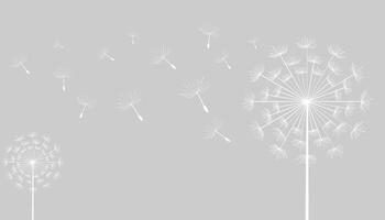 Flying dandelion seeds, vector icon. Vector isolated decoration element from scattered silhouettes.