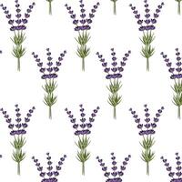 Seamless pattern of branches of lavender. For design cards, banners and patterns.Vector illustration vector