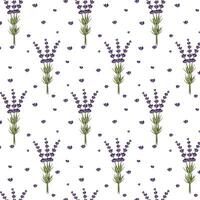 Seamless pattern of flowers and branches of lavender. For design cards, banners and patterns.Vector illustration vector