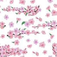 Seamless pattern with cherry blossom flowers on the branch vector