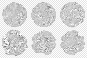 Wooden topography circles. Wood organic slice line design. Line ripple circle wood texture. Tree cut vector