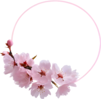 AI generated Watercolor painting of Cherry blossom Floral frame. png