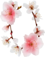 ai genererad vattenfärg målning av körsbär blomma blommig ram. png
