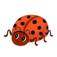 Ladybug cartoon character. Cute insect. Vector hand draw illustration isolated on white background