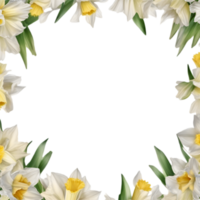 ai generado acuarela pintura de narciso floral marco. png