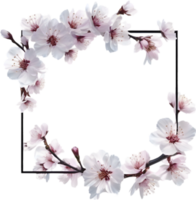 AI generated Watercolor painting of Cherry blossom Floral frame. png