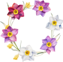 AI generated Watercolor painting of Daffodil Floral frame. png