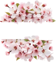 ai genererad vattenfärg målning av körsbär blomma blommig ram. png