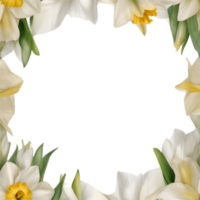 ai généré aquarelle La peinture de jonquille floral Cadre. png