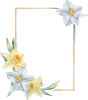 AI generated Watercolor painting of Daffodil Floral frame. png