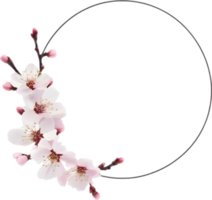 AI generated Watercolor painting of Cherry blossom Floral frame. png