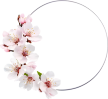 AI generated Watercolor painting of Cherry blossom Floral frame. png