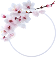 AI generated Watercolor painting of Cherry blossom Floral frame. png