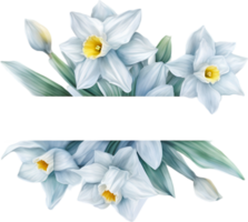 AI generated Watercolor painting of Daffodil Floral frame. png