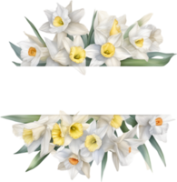 AI generated Watercolor painting of Daffodil Floral frame. png