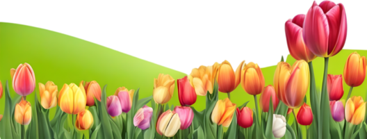 AI generated Wildflower field, Clipart of colorful spring wildflowers field. png