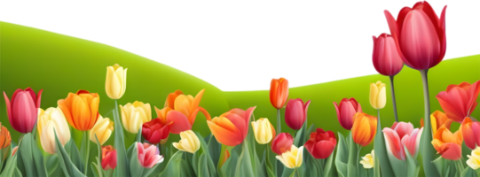 AI generated Wildflower field, Clipart of colorful spring wildflowers field. png